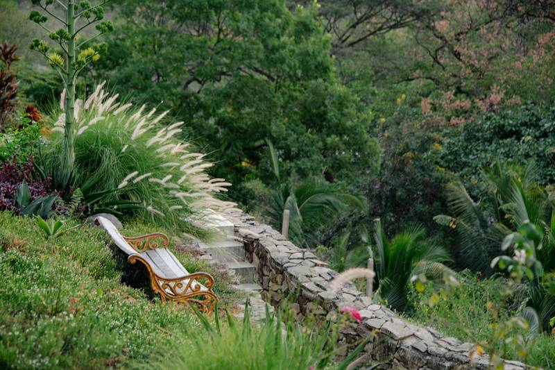 Stone steps and a garden bench